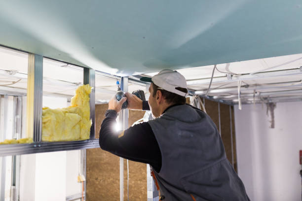 Best Cellulose Insulation in Upper Greenwood Lake, NJ